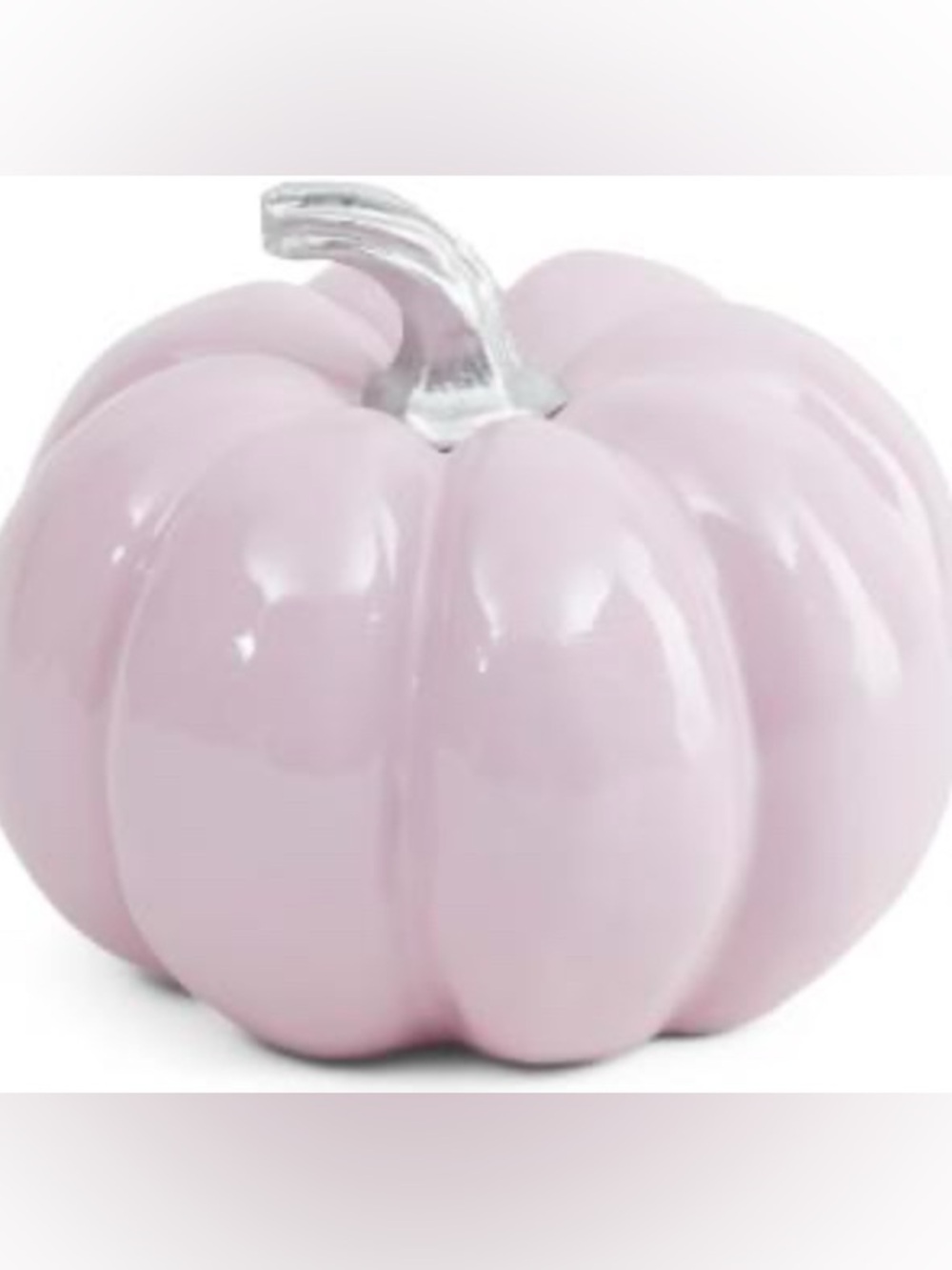 🆕- By Shabby Chic Pale Pink Ceramic Pumpkin with Silver Stem